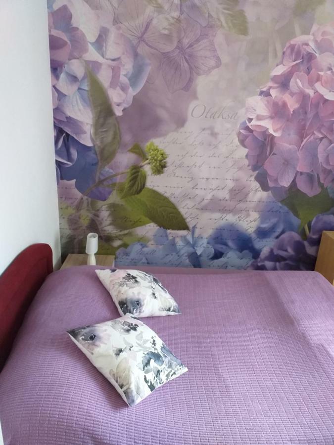 Apartment Yelena Rose West Zadar Exterior foto